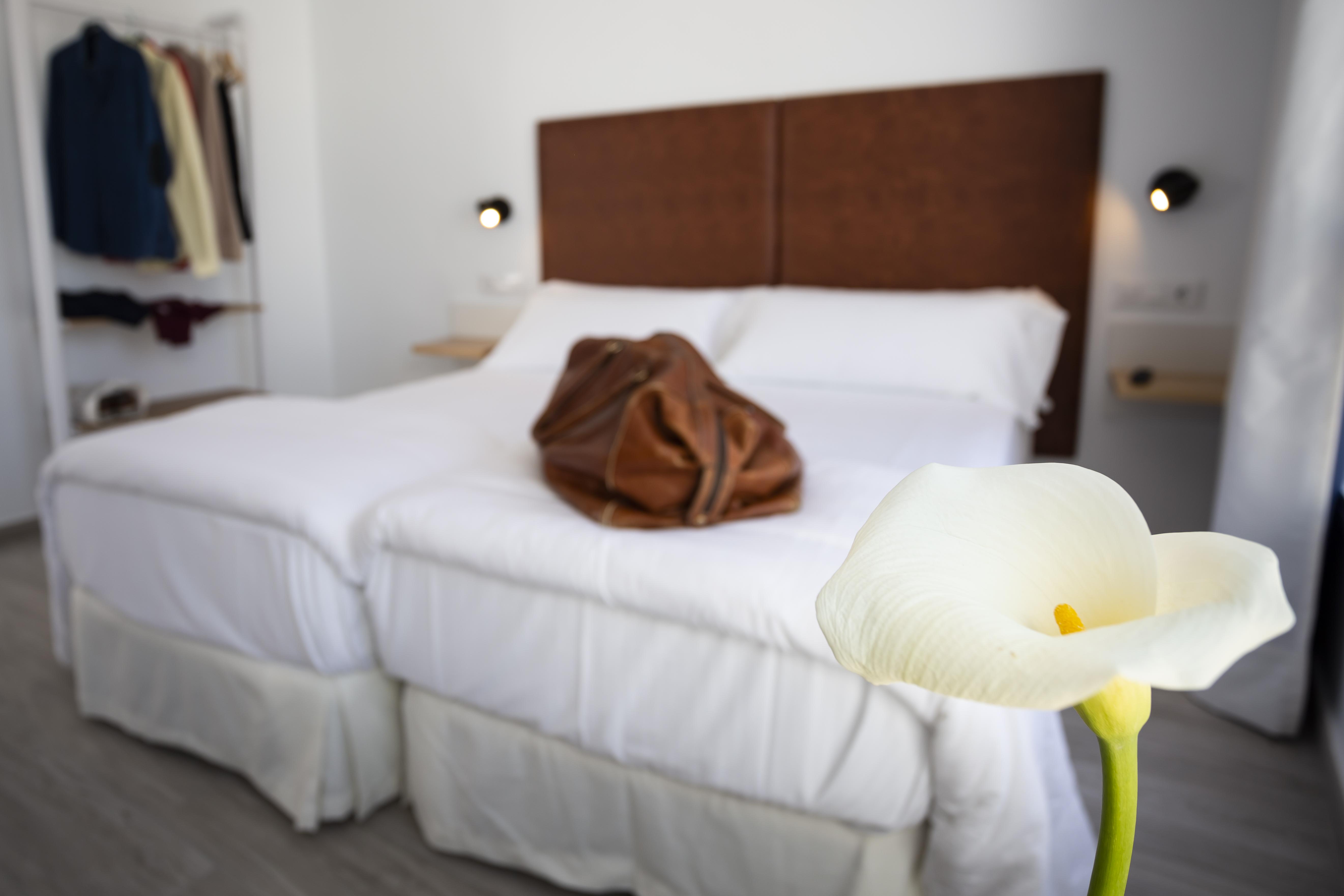 Basic Hotel Sevilla Catedral Luaran gambar